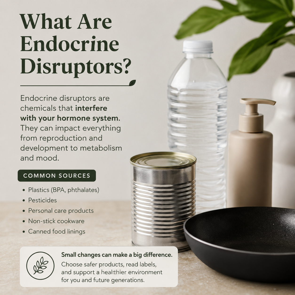 Endocrine Disruptors